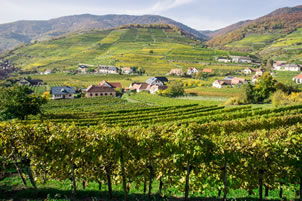 Weinviertel